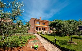 Apartmani Kosara
